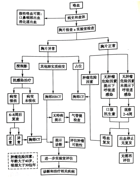 诊断学咯血思维导图图片