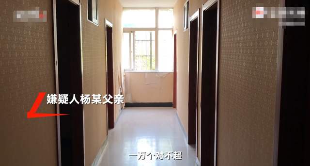 15岁少年被围殴致死嫌犯父亲发声-WordPress极简博客