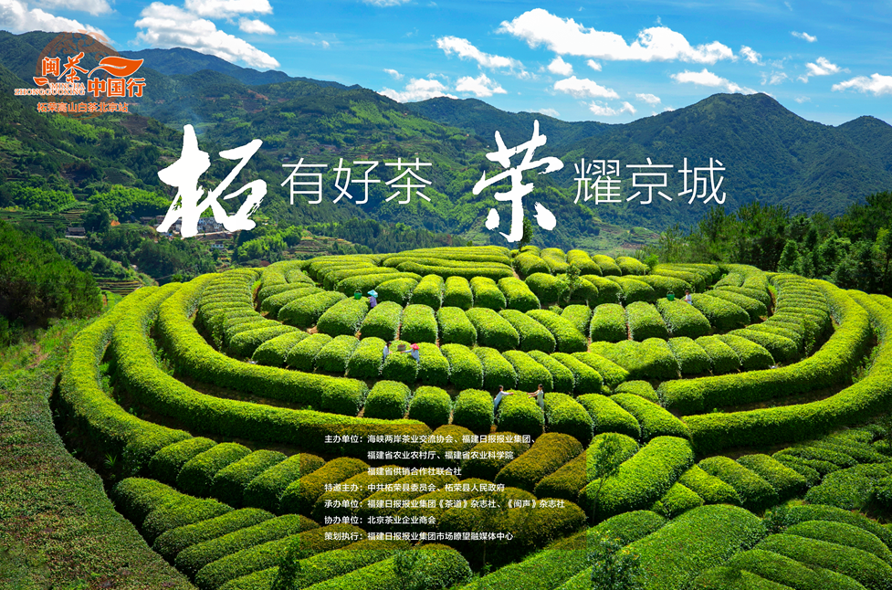 "柘荣高山白茶"高调亮相2020北京国际茶产业博览会_腾讯新闻
