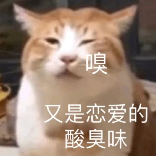 嗅东西的表情包,让我闻闻表情包 - 伤感说说吧