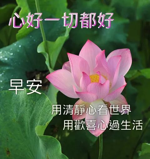 早安祝福語大全早上好圖片大全