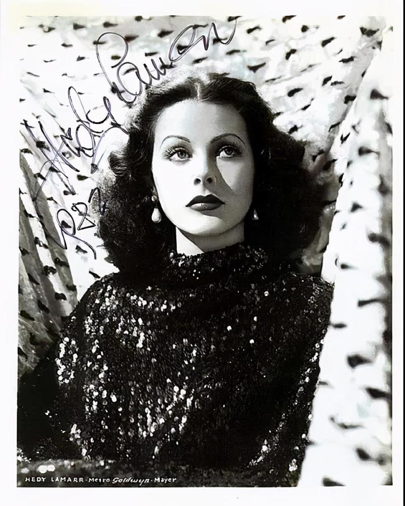 好莱坞女星有些依然优雅,有些富态,她们的美永远留在了荧幕上