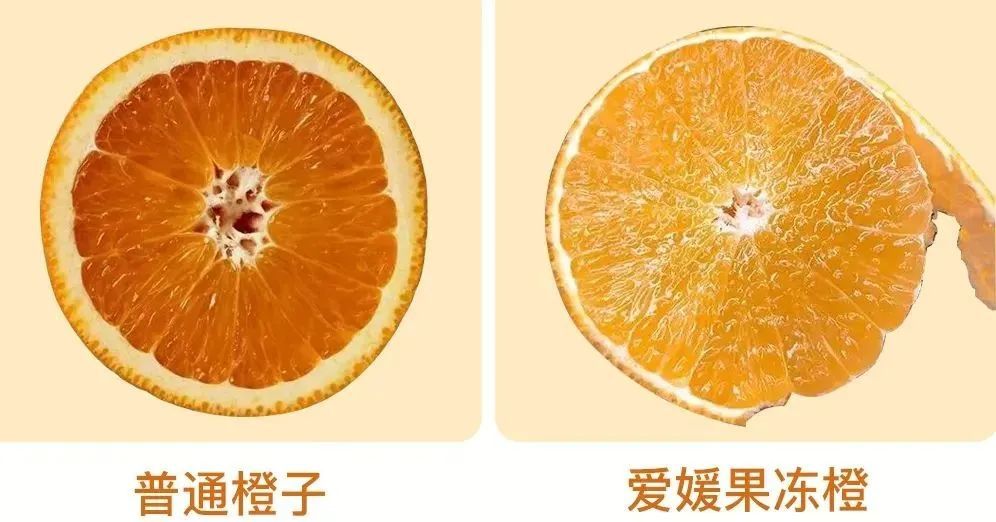 爱媛橙没有普通橙子的厚度,皮薄,非常好剥.