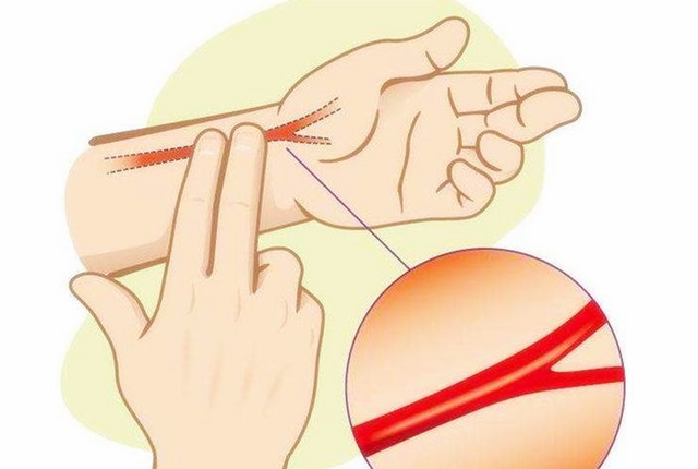 中医上的把脉真有如此神奇,甚至连胎儿的性别都能分辨?