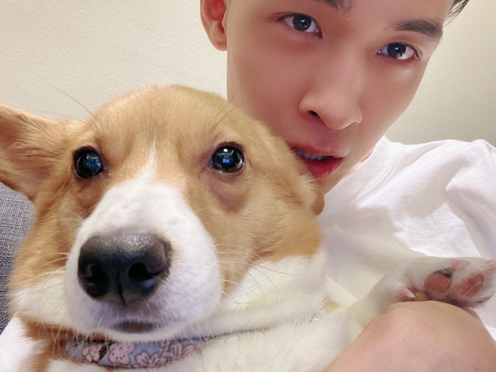 秦霄贤是卖惨还是真惨?德云低音炮破次元唱摇滚,不甘做网红拖师哥后腿