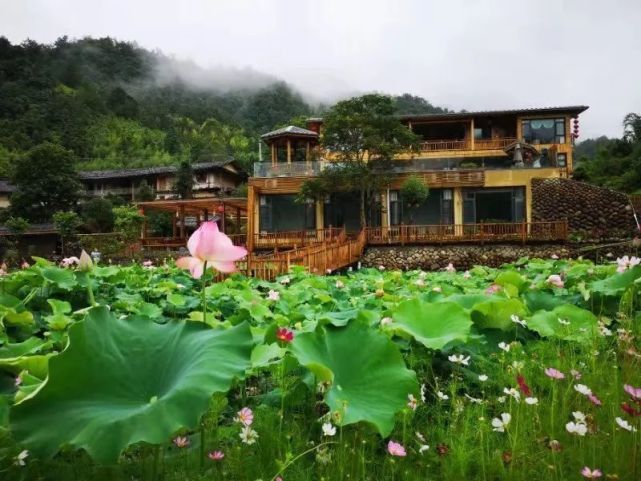 永泰梧桐旅游景点图片