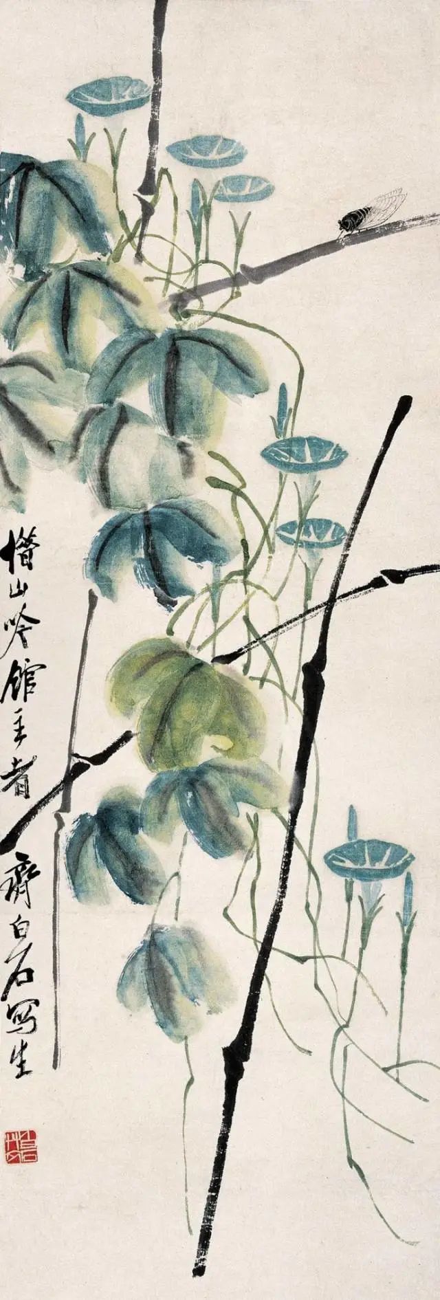 大翅脉基部可稍重些,使人感到双翅如纱翼一般美丽,生动,活灵活现.