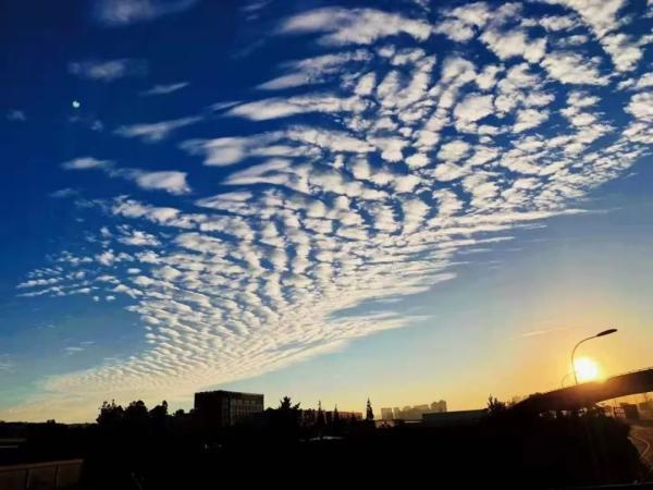 昆明今早的鱼鳞云,你拍到了吗?