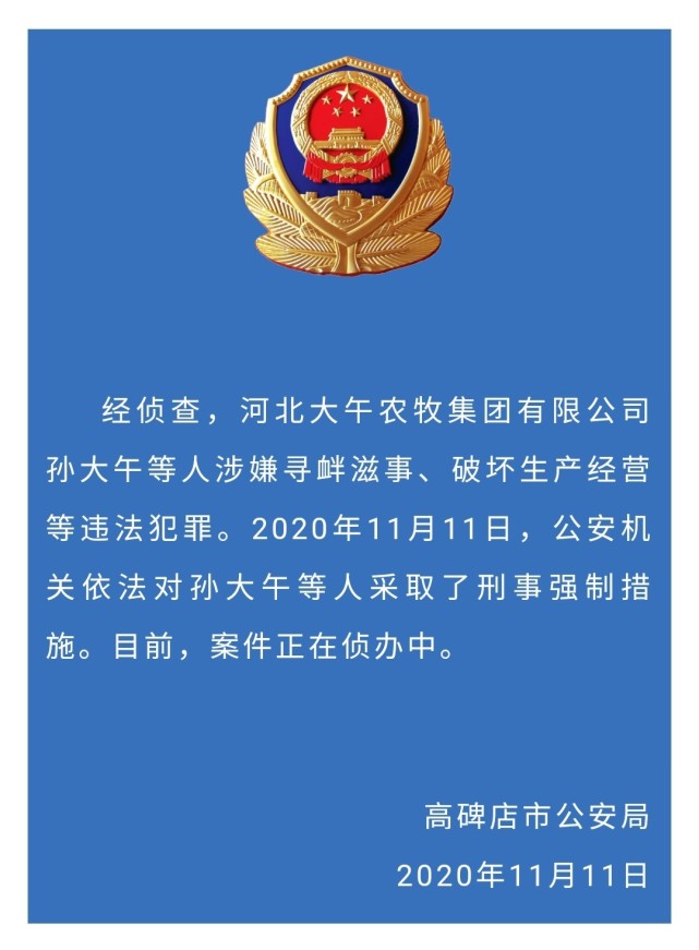 河北农民企业家孙大午涉嫌寻衅滋事被查 或因农场占地纠纷