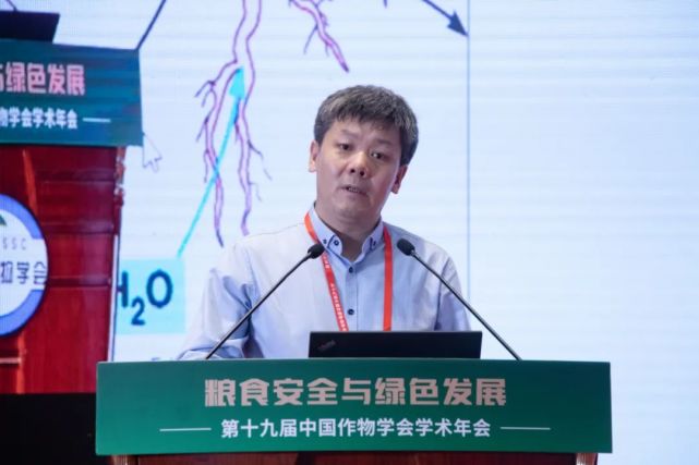 郭岩作报告(杨梓枫 摄)中国农业大学郭岩教授以"盐胁迫下钠离子姿运