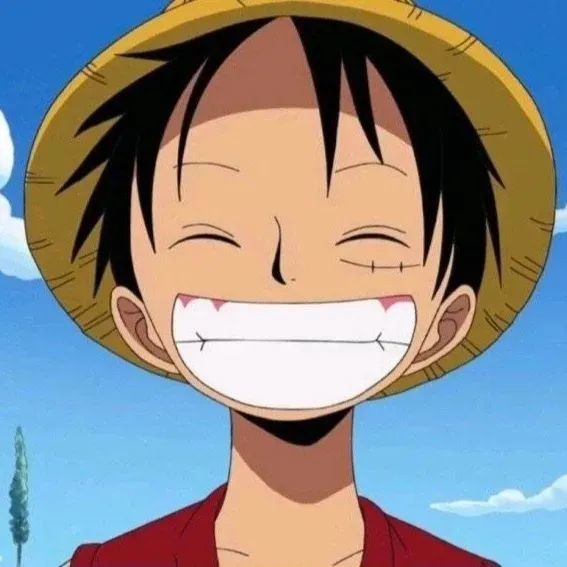 海贼王路飞主题头像路飞可是要成为海贼王的男人