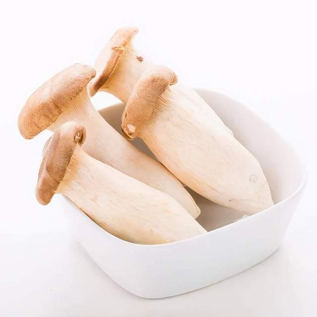 人工菌菇里最受你欢迎的是