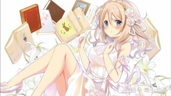 请问您今天要来点兔子吗 动画界迅哥儿与编辑的是是非非 橘子 腾讯新闻