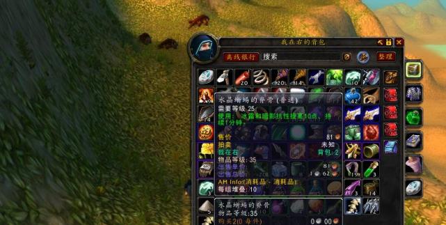 这个东西大部分人都不知道|naxx|冰龙|测试服|荆棘谷|魔兽怀旧服