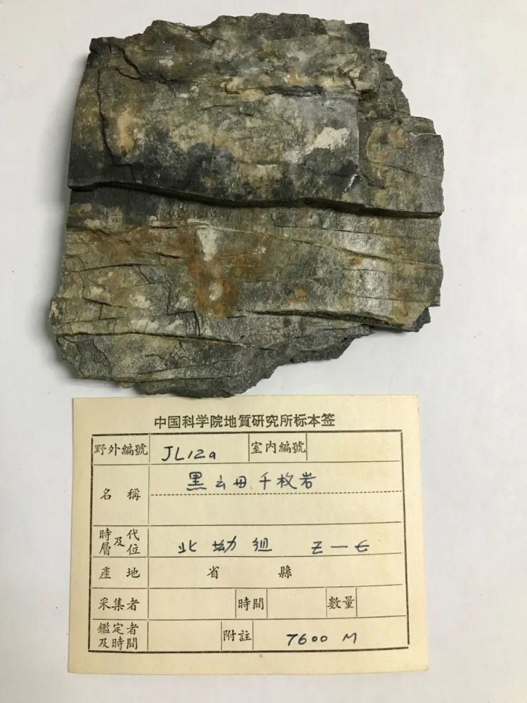 黑色的黑云母千枚岩
