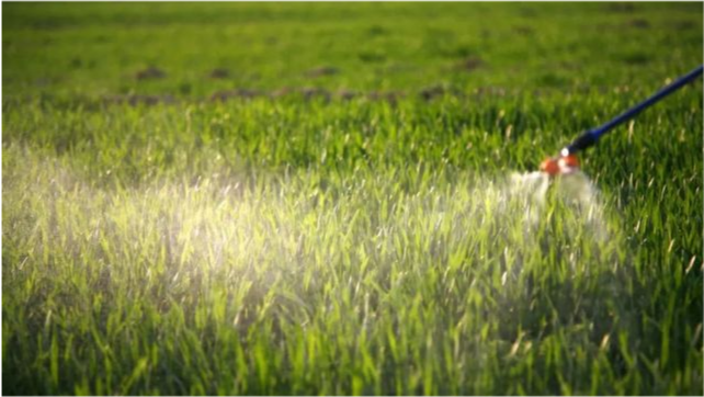 喷雾|小麦越冬前如果没做好这一项，开春以后可能就麻烦了