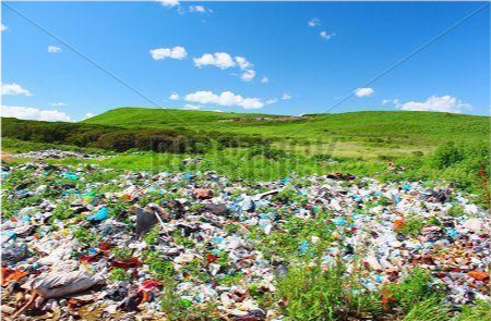 垃圾分类收集后有什么经济价值