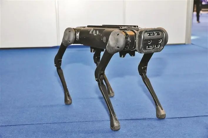 会撒娇卖萌"机器狗",餐饮机器人,工业无人机……高交会这些ai产品火了