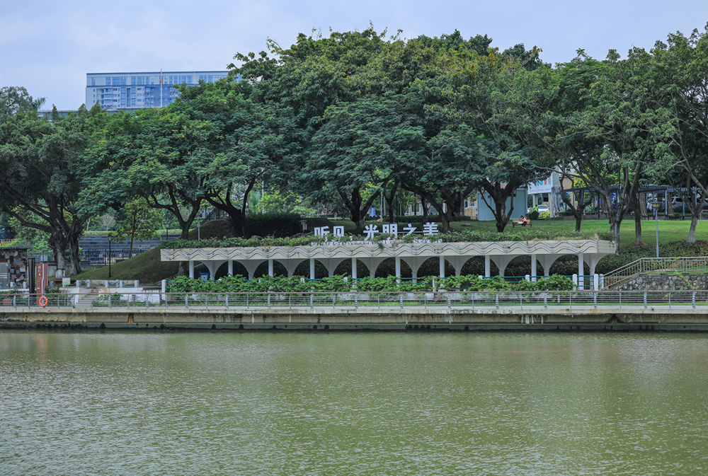 发现光明治水景观翠湖公园人行明镜中鸟度屏风里