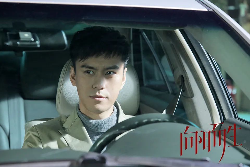 向阳而生治愈开播郭振迦演绎中国好领导