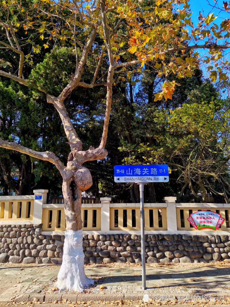 山东青岛八大关风景区最美的莫过于秋天