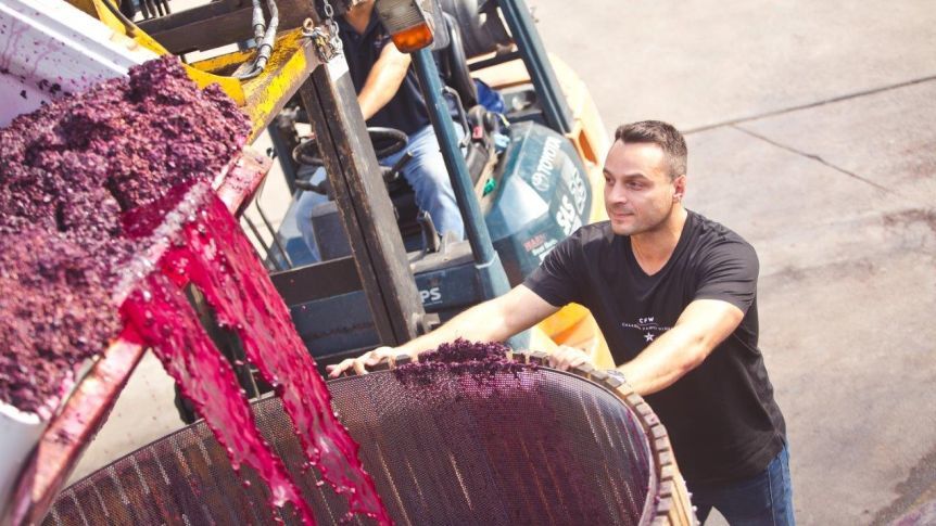 澳洲葡萄酒压榨