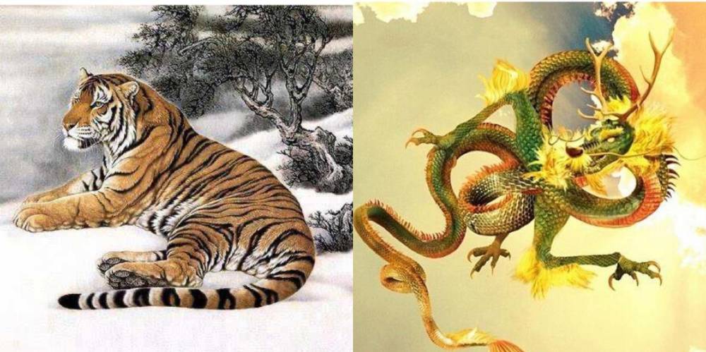 生肖虎vs生肖龙他们彼此之间的感情很深厚,而且相似的性格相使他们