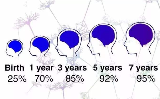 斯坦福大学研究发现 促进孩子的大脑发育 每天坚持这5种方法 腾讯网