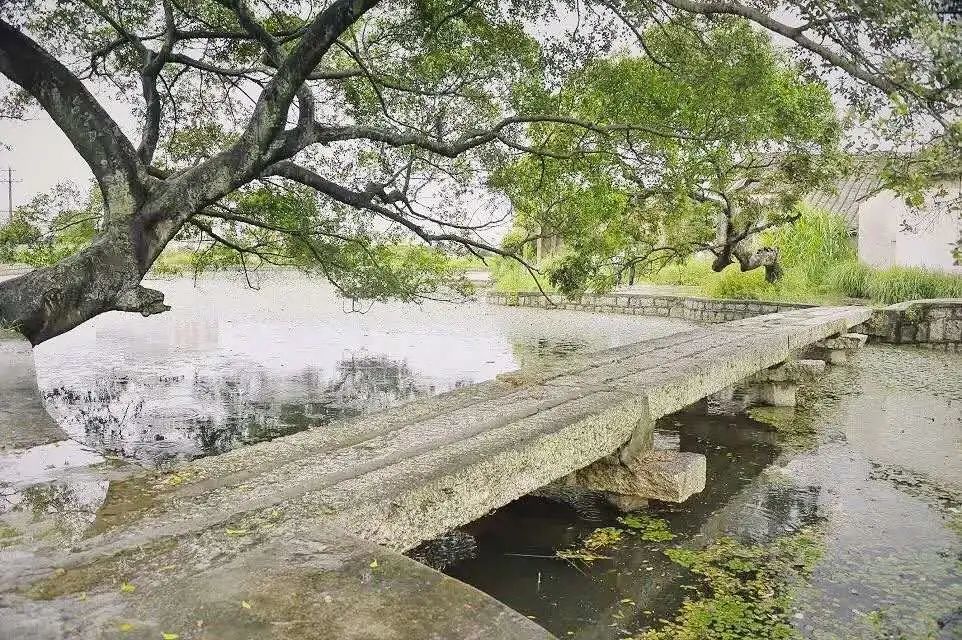 揭阳霖磐西龙村规划图片