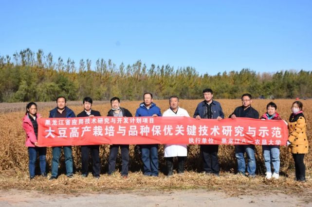 336 2公斤 和平牧场产出东北豆王刷新东北地区大豆单产纪录 东北地区 和平牧场 大豆