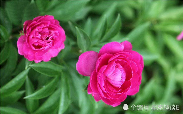 11月13日星座运势 峰回路转 诸事顺遂的四大星座 星座 水瓶座 巨蟹座 白羊座 天蝎座 星座运势