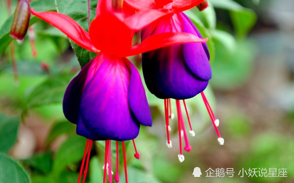 11月13日星座運勢 重拾鋭氣 後來居上的四大星座 Hopemall