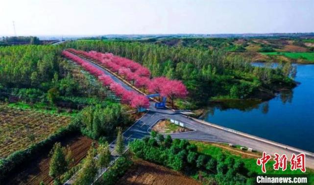 (胡传林 马鹏飞)湖北襄阳市樊城区重点打造的首条农村旅游公路"一号