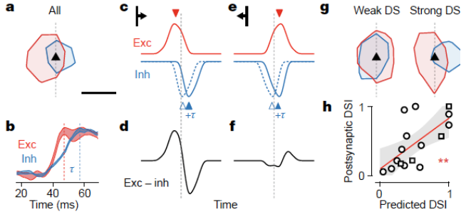 克利夫兰诊所|脑科学日报：用儿童的视角“看世界”；爱吃辣的人更长寿？