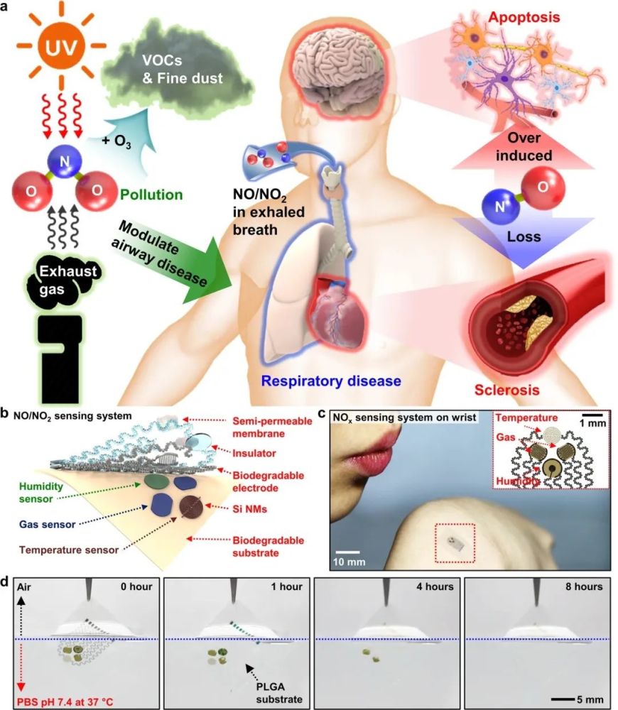 克利夫兰诊所|脑科学日报：用儿童的视角“看世界”；爱吃辣的人更长寿？