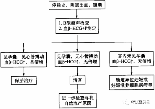 八,诊疗流程图