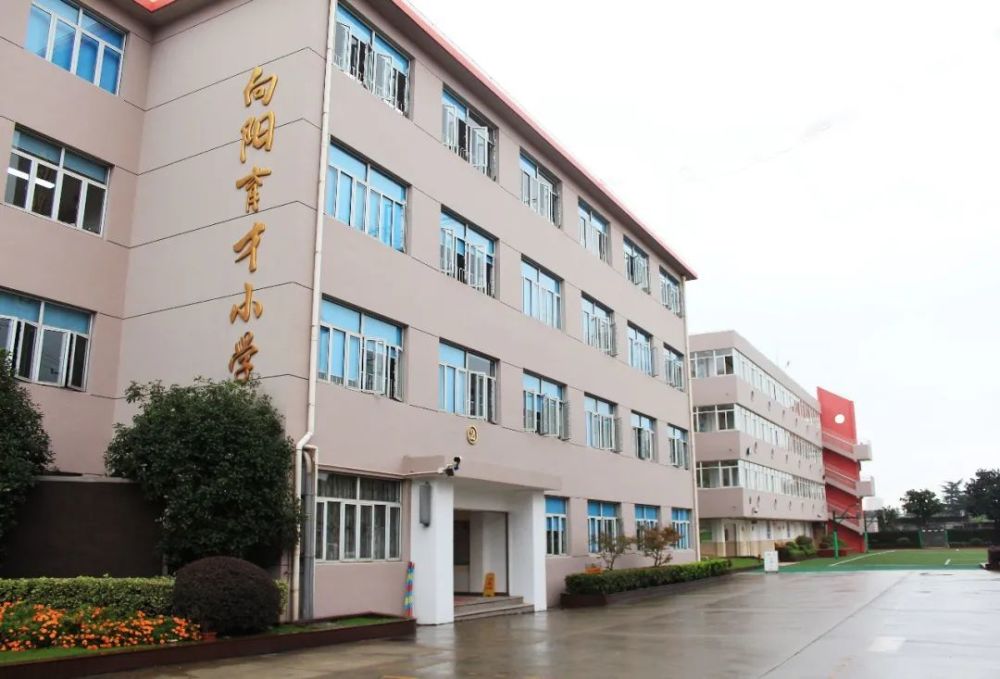 正是在这样的初心下,向阳育才小学秉承"勤","俭","实","活"的校训