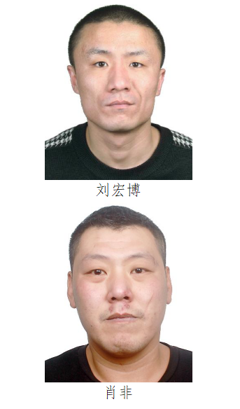 哈尔滨警方征集"老岩"黑社会组织线索!22人照片