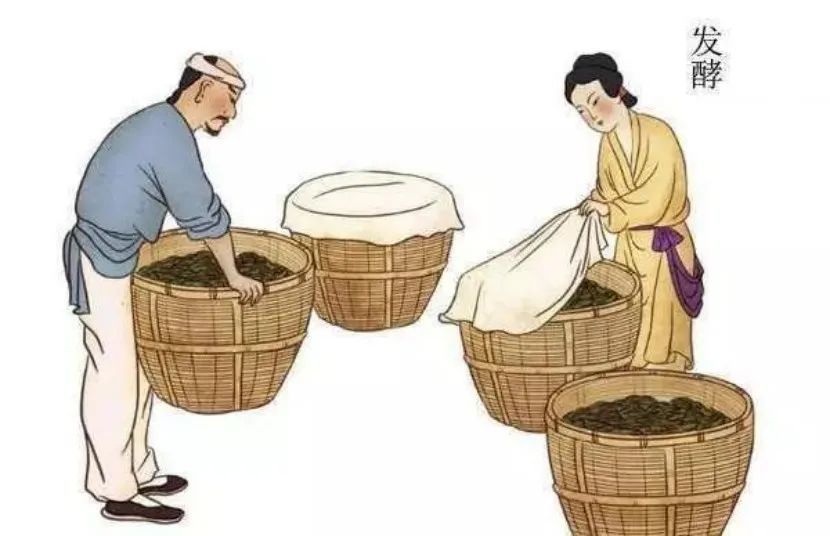 自酿葡萄酒|为什么我不建议你自己酿葡萄酒