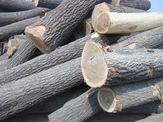 农村三种不起眼的树很好的家具材料成品价值高不要再当柴烧