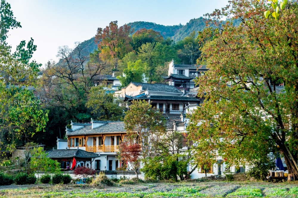 安徽这个小山村被誉为中国四大最美秋色之一历史将近千年