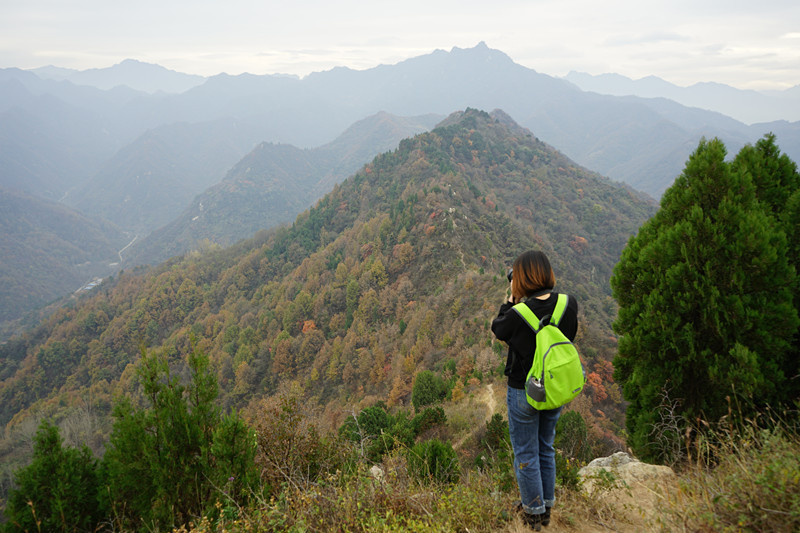 五道梁是一条 南北绵延的山脊线,平均海拔约1000多米.