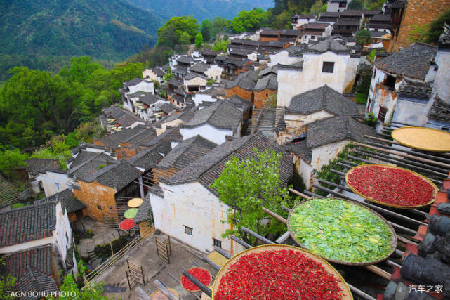 婺源篁嶺古村有500多年曆史10萬畝油菜花梯田盛開錯過等明年