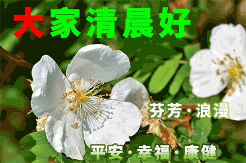唯美早安问候语温馨配图,最适合清晨群发早上好表情图片|心语
