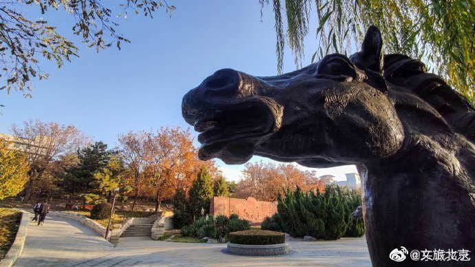 红叶|元大都遗址初冬仍秋色浓郁