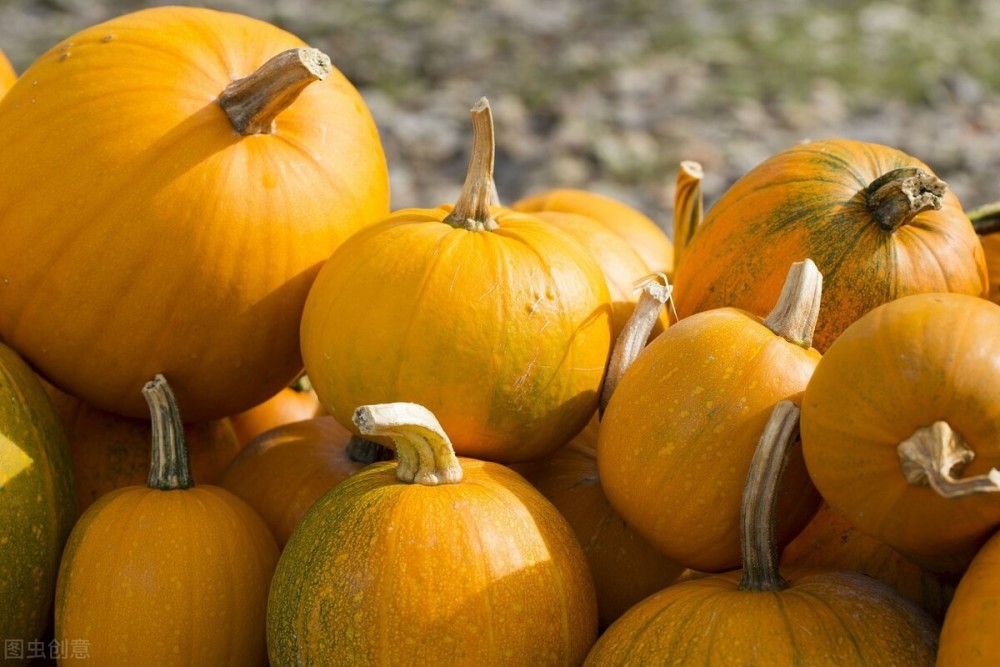 南瓜|南瓜种子怎么种？可以直接种吗？详细种植方法有哪些？