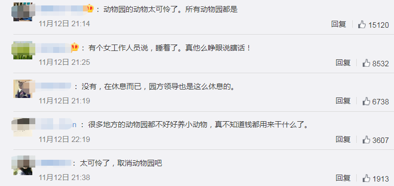 动物园回应狮子泡水池中疑似死亡-WordPress极简博客