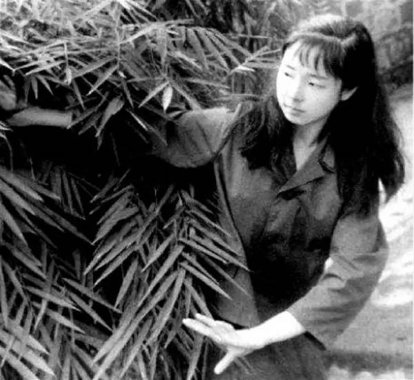 中国煤矿文工团|刘昊然考上的文工团到底是啥？