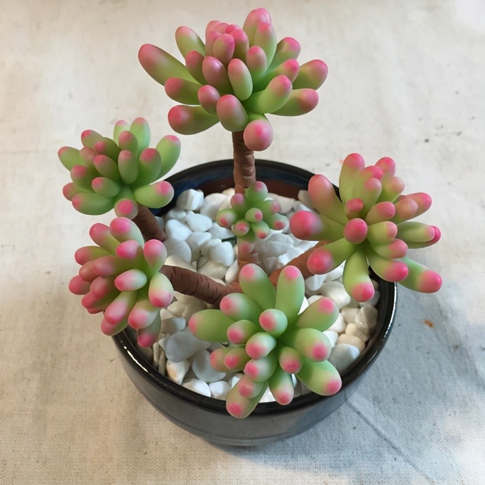 盆栽|养花用对肥将会事半功倍，试试这2种肥，养啥花都好活