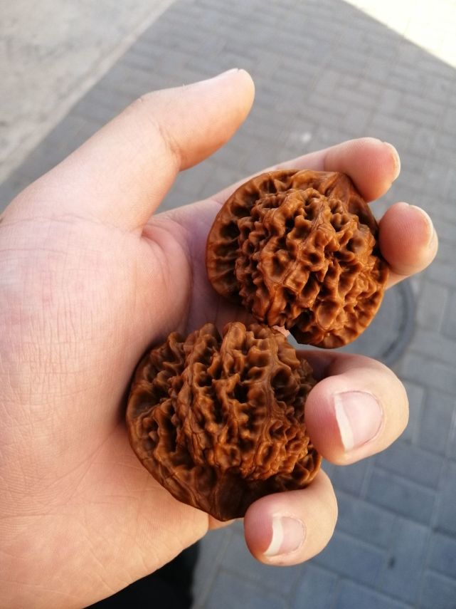 近期出现的一些关于文玩核桃的毒理论大家千万别盲目尝试